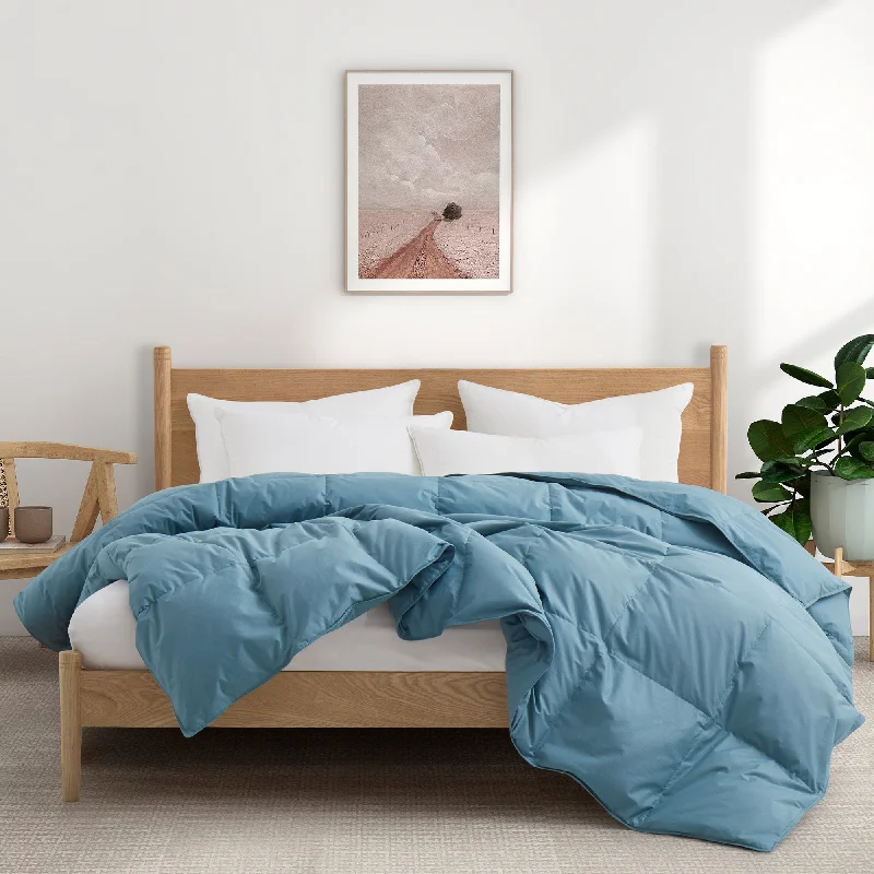 Goose Feather Down Allseason Comforter Sky Blue